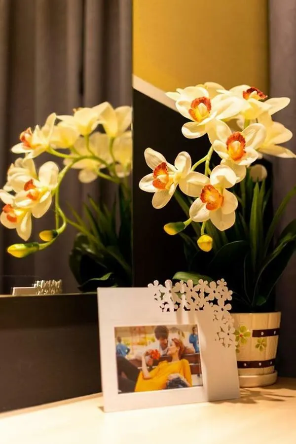 Southwest Designer Suite By D Imperio Homestay Penang Bayan Lepas Διαμέρισμα